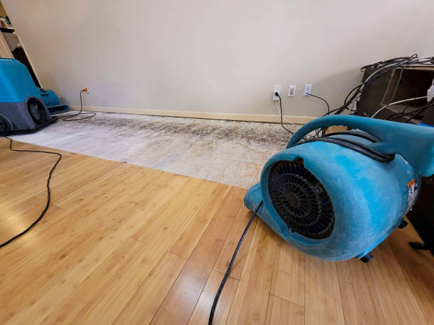 Professional Emergency Water Damage technician working in Pratt, KS